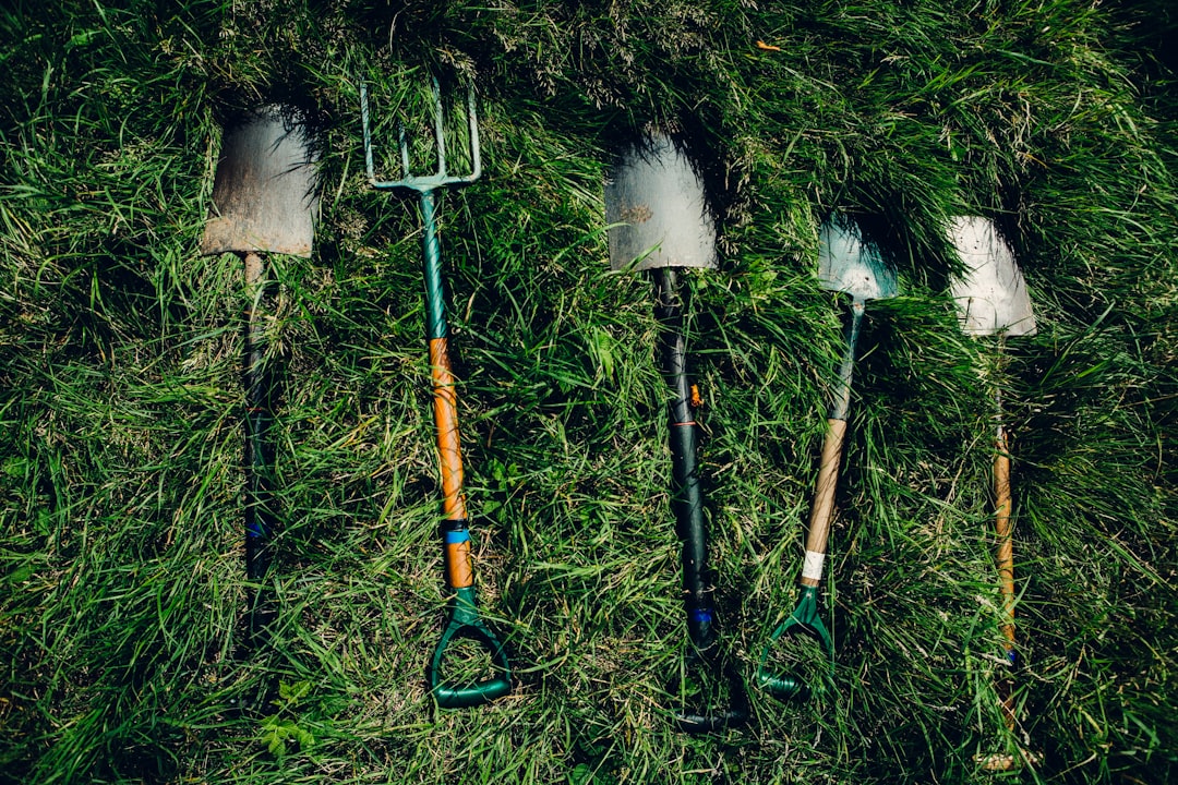 plusieurs pelles sur l'herbe